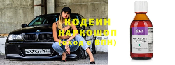стаф Верея