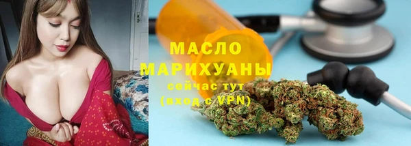 стаф Верея