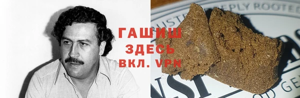 стаф Верея