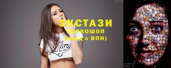 стаф Верея