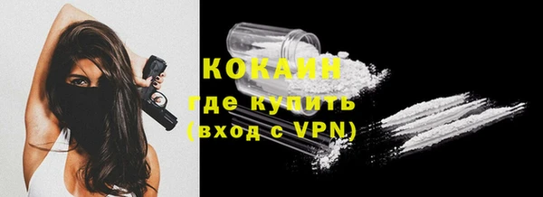 стаф Верея