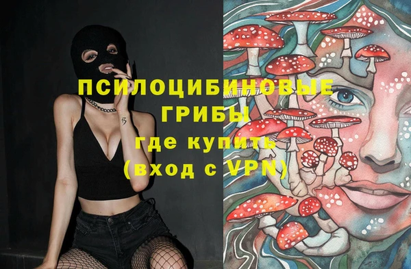 стаф Верея