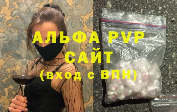 стаф Верея